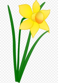 Spring Flowering Plant Giveaway