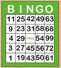Bingo