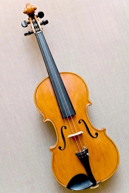 Stringed instrument