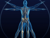 Healthy Bones and Balance