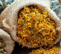 Gentle Herbal Support for Common Ailments