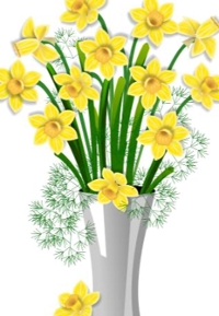 Flowering plant giveaway