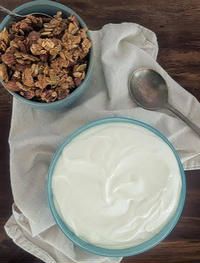 Yogurt Workshop